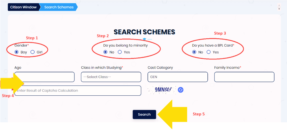 Scheme Search
